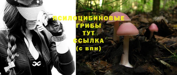PSILOCYBIN Карталы
