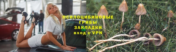 спайс Абаза
